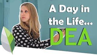 Day in the Life of a Domestic Energy Assessor