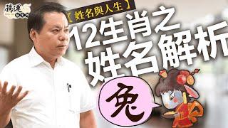 【兔】十二生肖之姓名解析｜姓名與人生｜全球風水易經姓名學大師張定瑋