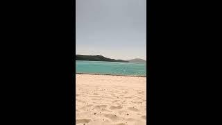 Hamilton Island Vacation