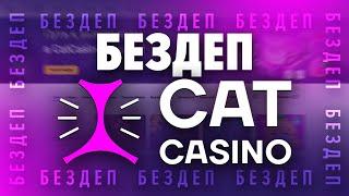 Казино Cat Casino, обзор уникального промокода, бездепозитный бонус 100 фриспинов за регистрацию