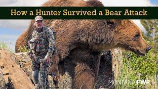 How a Hunter Survived a Bear Attack