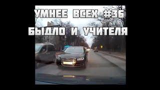 УМНЕЕ ВСЕХ #36. БЫДЛО И УЧИТЕЛЯ НА ДОРОГЕ