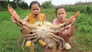 Loc TiVi Goes to Eat Cucumbers and Catches a Giant Crab to Cook Deliciously