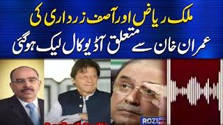 Leaked Audio call of Malik riaz and Asif Zardari about Imran Khan