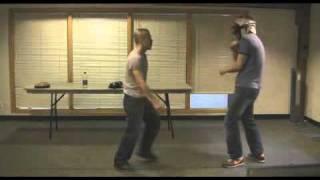 Pragmatic Martial Arts Instructional DVD Preview