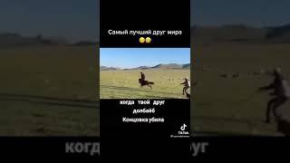 самый лучший друг 