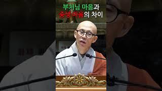 부처님과 중생의 마음은 어떻게 다른가? - 휴담스님(불광사 교무) 법문 #부처님마음 #중생심 #휴담스님