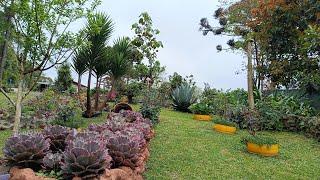 Tour pelo jardim do gramado,com a grama cortada!