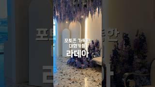 포토존 가득한 대형카페 라데아 | 경기도 김포시