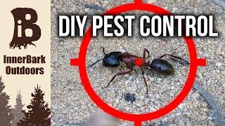 How to Get Rid of ANTS  | DIY Pest Control