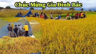 Quang Dũng ||' NGÀY ĐẶC BIỆT ' Đánh Dấu Bước Đầu Thành Công Của Người Angola Đầu Tiên Trồng Lúa VN