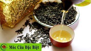 [MỞ HỘP] Trà (Chè) Móc Câu Đặc Biệt Thái Nguyên - Lộc Tân Cương