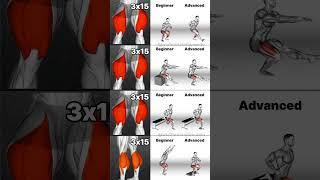 Leg Workouts for ALL Levels: Beginner to Advanced Training!