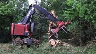 Abattage de bois énergie, Timberpro TB630D