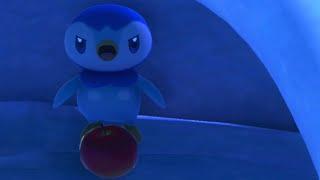 Piplup's 