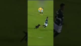 Funniest Football Moments That Will Make You Laugh!  #FunnyFootball #Shorts