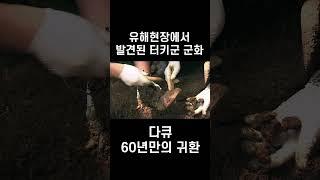 [60년만의 귀환] 유해발굴 현장에서 발견된 터키군 군화