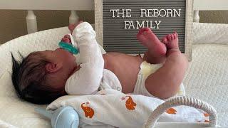 Reborn Family adopts a baby | Silicone Reborn  comes to life during Box Opening