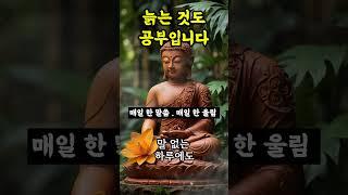 늙는 것도 공부입니다ㅣ부처님말씀ㅣ불교명언ㅣ불교오디오북 #자기수행