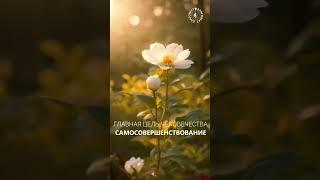 #БлагоВест  ГЛАВНАЯ ЦЕЛЬ ЧЕЛОВЕКА - САМОСОВЕРШЕНСТВОВАНИЕ