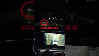 [초보 운전 필수]서라운드뷰 진짜 꿀팁 4가지