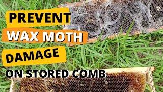 ️ STORING DRAWN COMB ; PREVENTING WAX MOTH DAMAGE