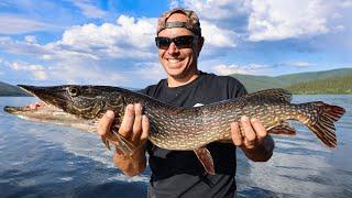 Summer Northern Pike Fishing | River Boating in Alaska