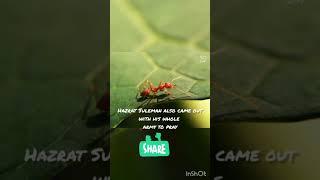 peer Ajmal Raza Qadri emotional Bayan¥WhatsApp status #ant #prayer #islamicbeauty #short #ytshorts