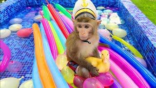 Baby Monkey Bim Bim playing Colorful Water Balloons Chanllenge with duckling at pool