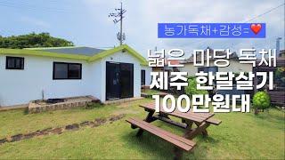 제주 감성독채 한달살기 100만원대 제주 서쪽 한달살기 숙소 추천ㅣ리브애니웨어, 제주 한달살기 숙소 추천