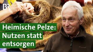 Pelz von Marder, Fuchs und Wiesel: Wie Jäger die Felle verwerten können | Unser Land | BR