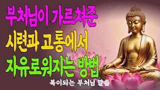 “그대여, 괜찮다” 부처님의 자비는 말 없이 안아줍니다#부처님자비#자비는연민#괴로움속자비#자기연민이아닌진짜자비#조용한위로