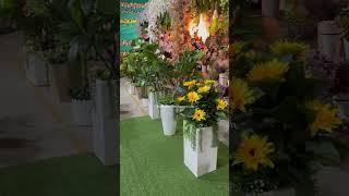 Artificial green plants manufacturing in Ahmedabad India +918000100000 all world wholesale supply