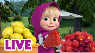  LIVE STREAM  Masha and the Bear  Picky Eaters 