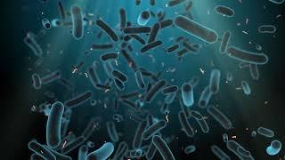 Exploration of Lipocalin 2 (LCN2) Protein