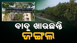 ବାବୁ ଖାଉଛନ୍ତି ଜଙ୍ଗଲ | Bhitarkanika National Park Wildlife Sanctuary in Kendrapara