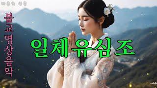 "일체유심조: 마음의 주인이 되는 길 #불교음악 #찬불가 #음성법공양 #트로트 #부처님 #지장보살 #염불#케이팝 #한국가요