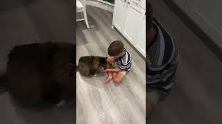 Declan meets a cat who is okay with being petted.