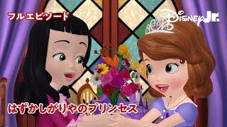ちいさなプリンセス ソフィア｜はずかしがりやのプリンセス｜フルエピソード｜@disneyjuniorjp