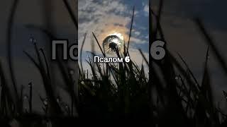 ПСАЛОМ 6