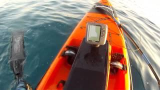 Kayaking & Spearfishing