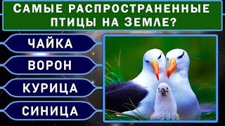 У вас Восхитительный Ум, если Сумеете Ответить Верно на 9 из 10 вопросов Теста на Эрудицию! ВЫ ГЕНИЙ