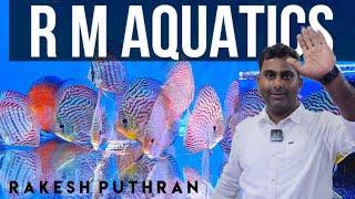 HIGH QUALITY DISCUS | R M AQUATICS | DISCUS FISH FOR SALE | DISCUS FISH | RAKESH PUTHRAN | DISCUS