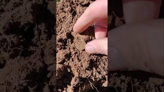 ️ #metaldetecting #hobby #treasurehunting #passion #coin #history