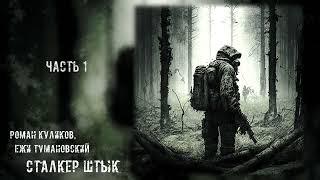 «Штык» 1/2 - Роман Куликов, Ежи Тумановский [ S.T.A.L.K.E.R. | Аудиокнига ] (реставрация, муз.-эфф.)