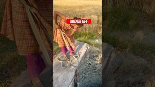 Village Life 