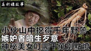 民間故事：小伙山中挖得千年野參，嫉妒者暗生歹意，神秘美女叮囑：千萬別點燈！｜高朗講故事