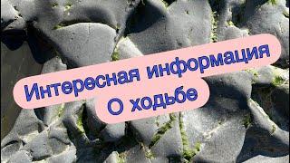 Движение это жизнь )