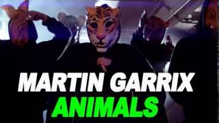 MARTIN GARRIX   ANIMALS DJ GEXOX REMIX