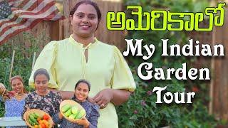 America lo నా గార్డెన్ లో పెంచుకుంటున్న మొక్కలు ఇవే | Indian Garden Tour in USA #gardentour